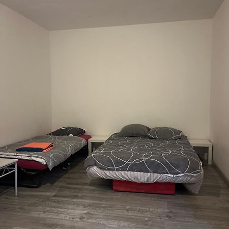 Logement Type Studio 1 Piece Proche Zenith ستراسبورغ المظهر الخارجي الصورة