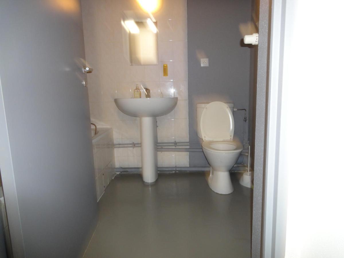 Logement Type Studio 1 Piece Proche Zenith ستراسبورغ المظهر الخارجي الصورة