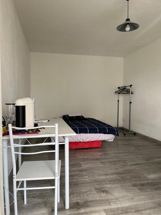 Logement Type Studio 1 Piece Proche Zenith ستراسبورغ المظهر الخارجي الصورة