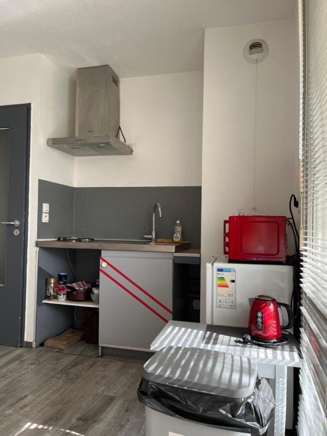 Logement Type Studio 1 Piece Proche Zenith ستراسبورغ المظهر الخارجي الصورة